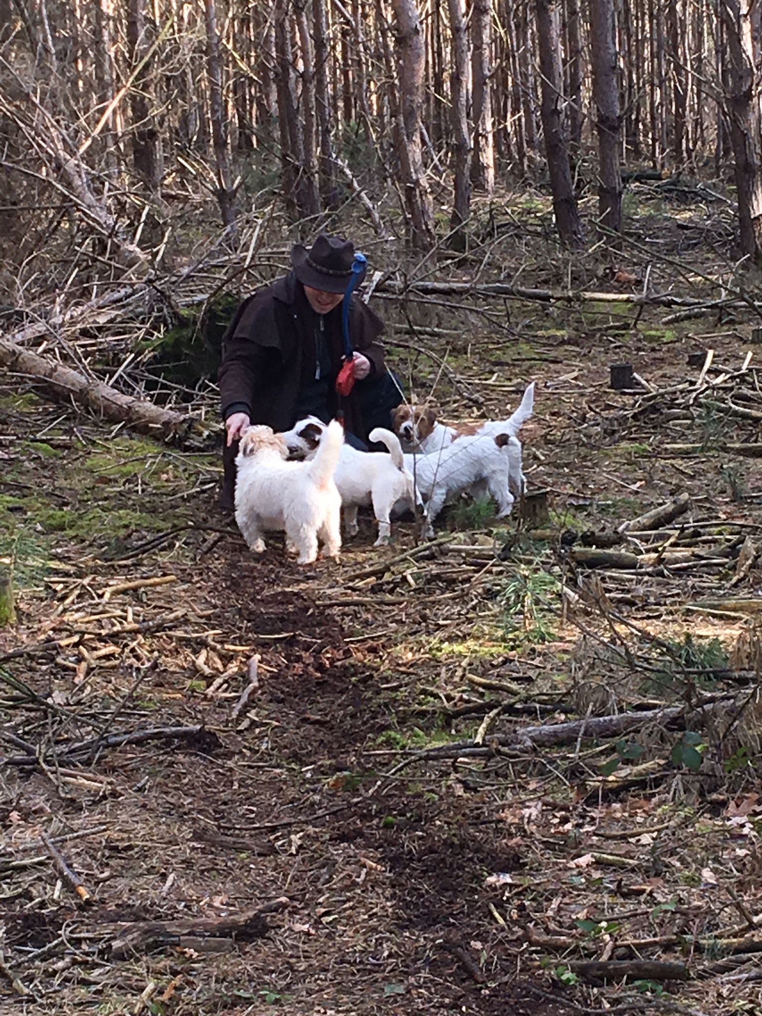 Jack Russell Terriër van Lumberlake kennel