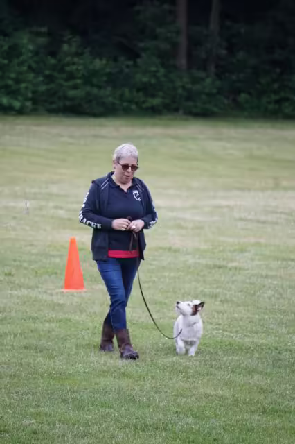 Jack Russell Terriër van Lumberlake kennel